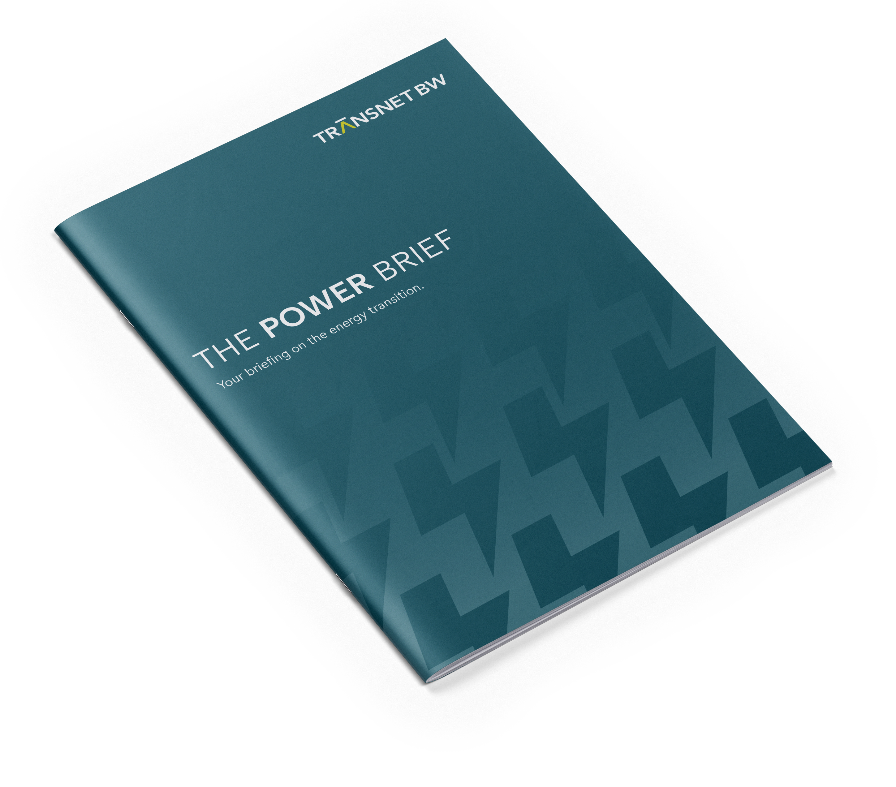 THE POWER BRIEF – Your briefing on the energy transition.