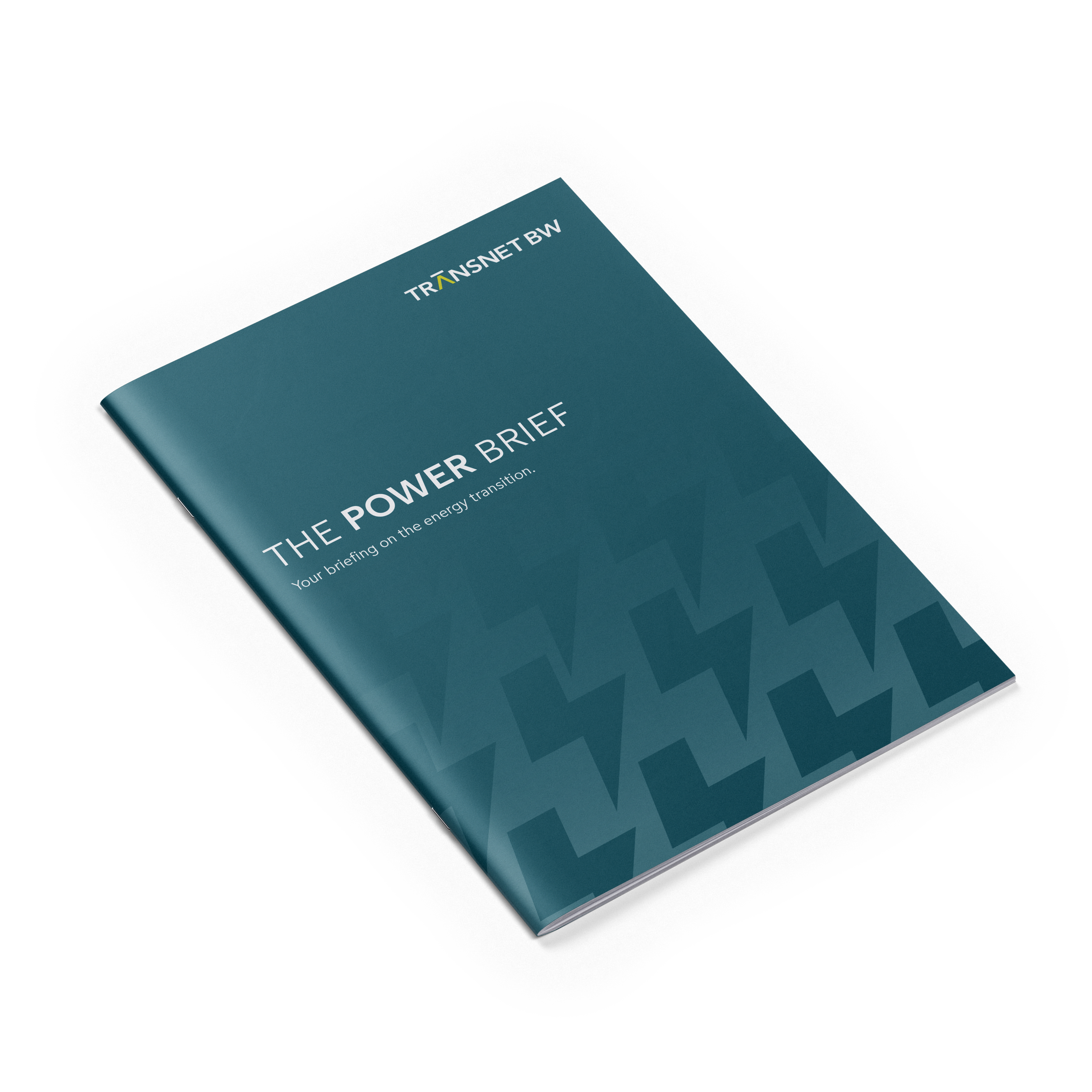 THE POWER BRIEF – Your briefing on the energy transition.